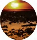 Gobo 536