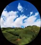 Gobo 542