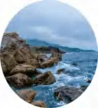 Gobo 545