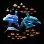 Gobo 564