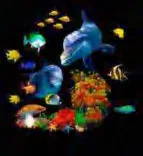Gobo 570