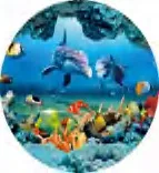 Gobo 576