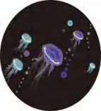 Gobo 585