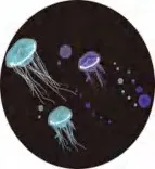 Gobo 586