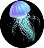 Gobo 591