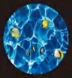 Gobo 597