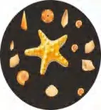Gobo 602