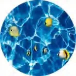 Gobo 604