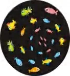 Gobo 607