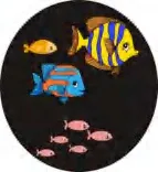 Gobo 608
