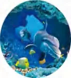 Gobo 613