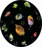 Gobo 631