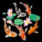 Gobo 641