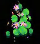Gobo 644