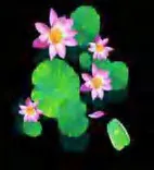 Gobo 645