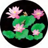 Gobo 657