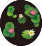 Gobo 665