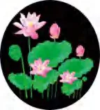 Gobo 671