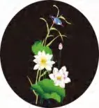 Gobo 674