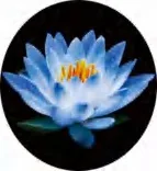 Gobo 678