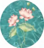 Gobo 682