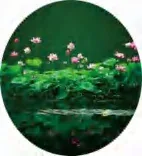 Gobo 685