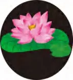 Gobo 700