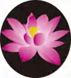 Gobo 715