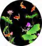 Gobo 726