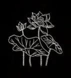 Gobo 741