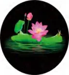 Gobo 758