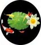Gobo 759