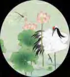 Gobo 764