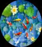 Gobo 773