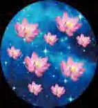 Gobo 793