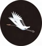 Gobo 806