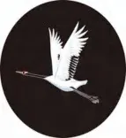 Gobo 807