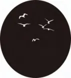 Gobo 811