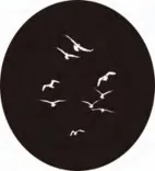 Gobo 812