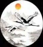 Gobo 851
