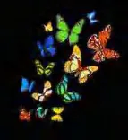 Gobo 882