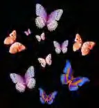 Gobo 884