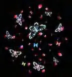 Gobo 885