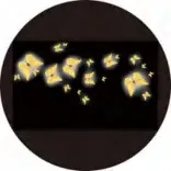 Gobo 892