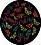 Gobo 900
