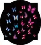 Gobo 903