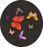 Gobo 920