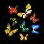 Gobo 924