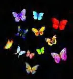Gobo 928