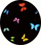 Gobo 929